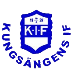 辛內(nèi)斯塔